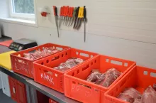 Rolniczy Handel Detaliczny pozwala na uzyskanie dodatkowego dochodu hodowcom bydła i trzody chlewnej. 