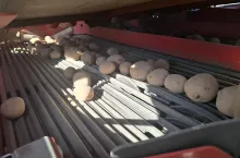 Technika, Ziemniaki 2/2025, sadzenie ziemniaków, sadzenie na rózne sposoby, sadzenie na zagonie, odkamienianie pola pod ziemniaki, sadzenie na redlinach, sadzarka DeWulf, Grimme, sadzarka strukruralna, idealne redliny, uprawa gleby pod ziemniaki, Kozakiewicz, Połęcko, Ośno Lubuskie, Witkowski, Radziejów