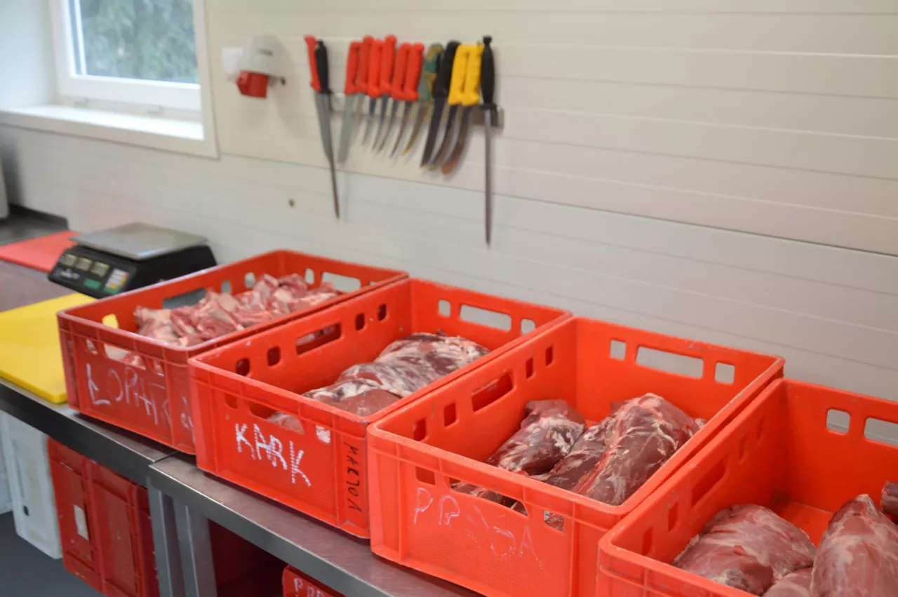 Rolniczy Handel Detaliczny pozwala na uzyskanie dodatkowego dochodu hodowcom bydła i trzody chlewnej. 