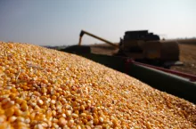 Usługi kombajnowania za ziarno kukurydzy? Jak rolnik powinien rozliczyć VAT przy barterze