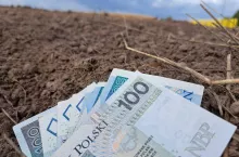 Nawet 120 tys. zł dla małych gospodarstw. Jakie warunki dofinansowania?