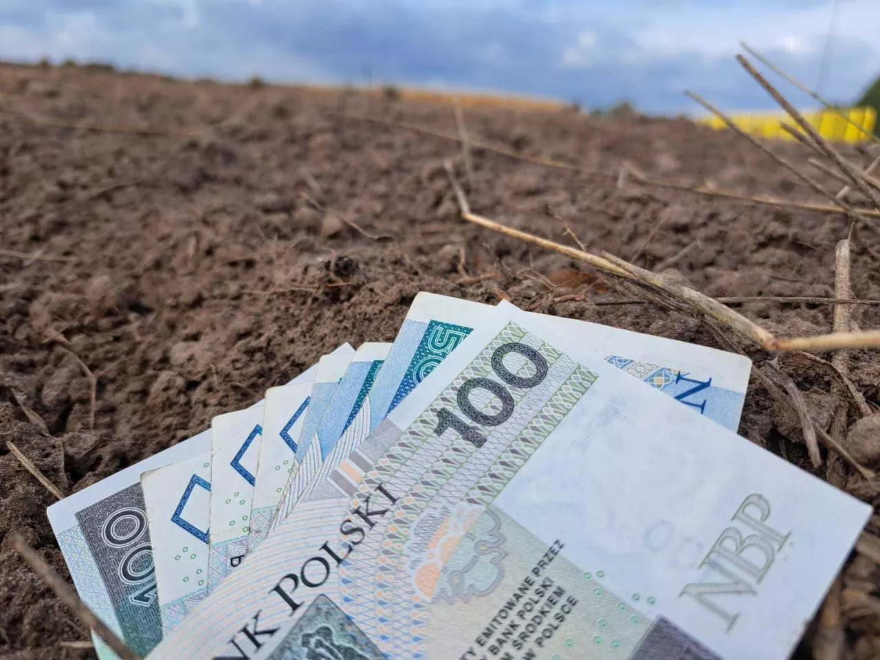 Nawet 120 tys. zł dla małych gospodarstw. Jakie warunki dofinansowania?