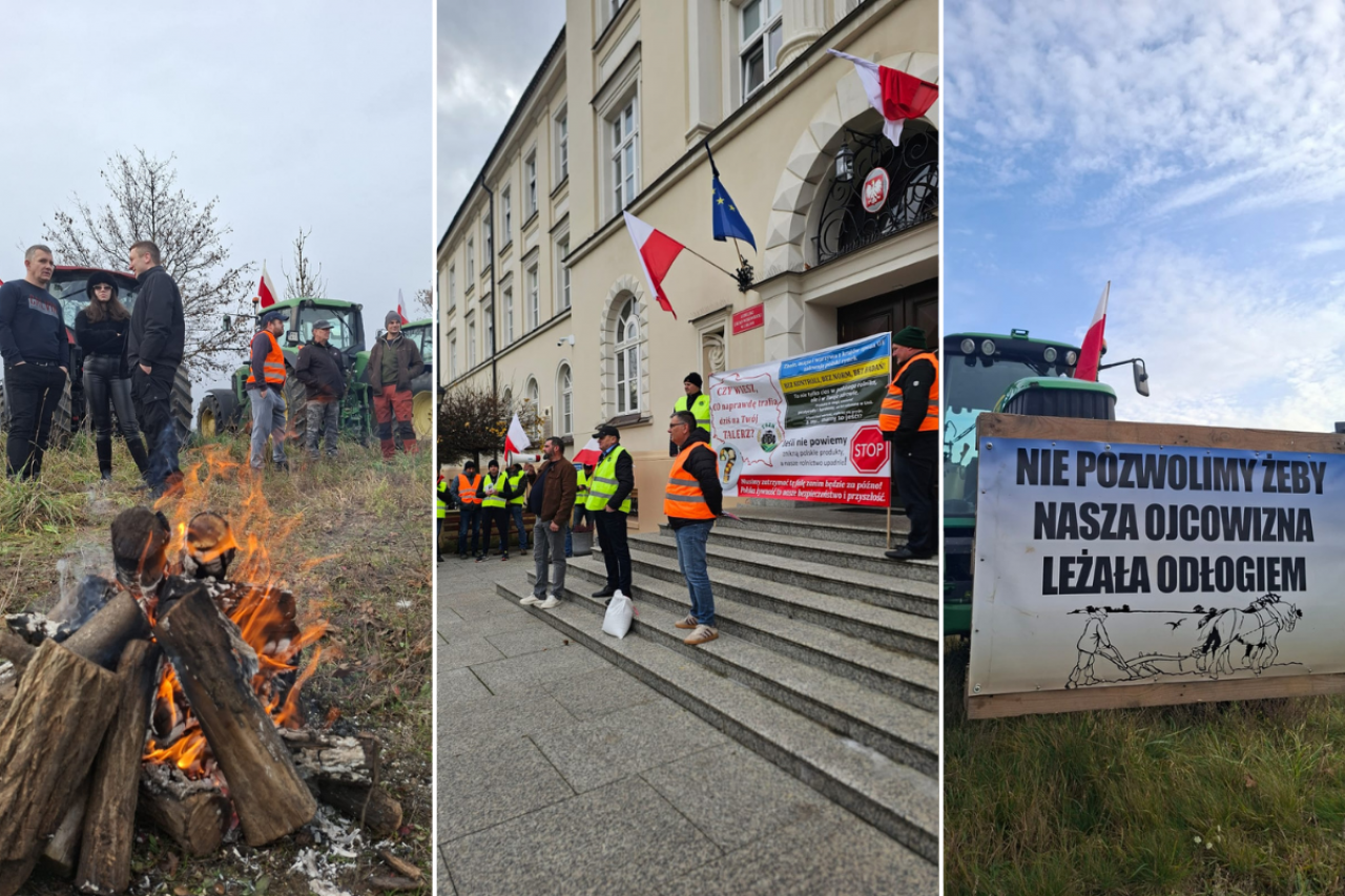 Protesty rolników 
