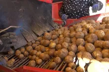 ziemniaki, zbiór ziemniaków, rynek ziemniaka