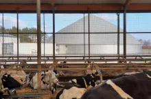 mikrobiogazownia, Naturalna Energia.Plus