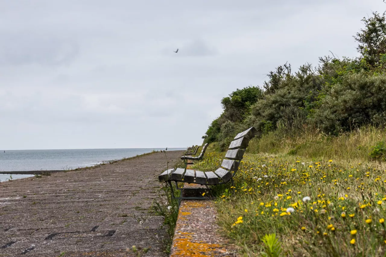 KRUS rozważa turnusy wytchnieniowe dla rolników