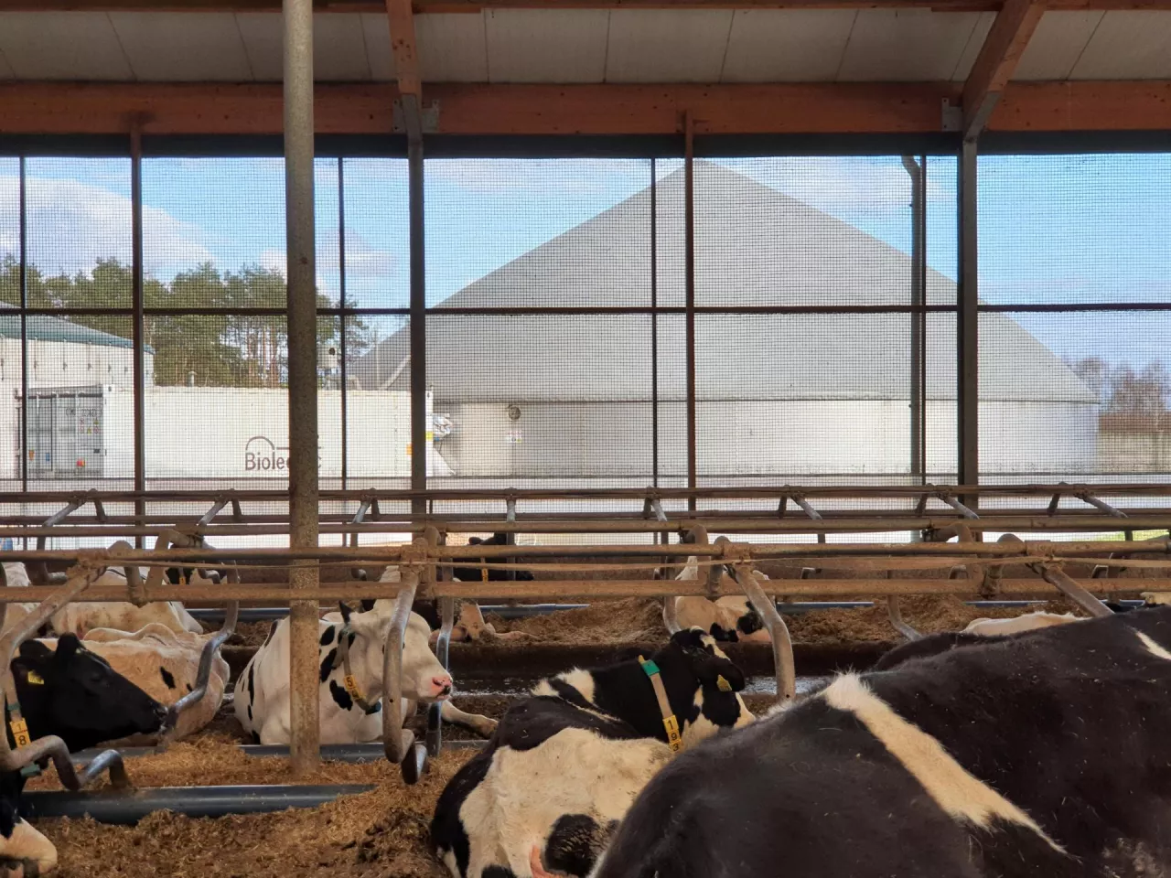 mikrobiogazownia, Naturalna Energia.Plus