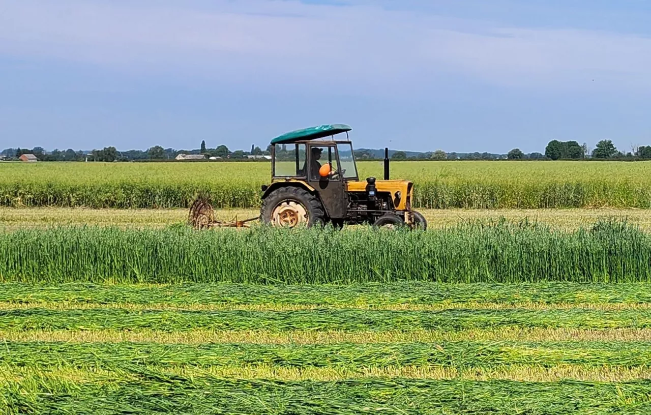 Restrukturyzacja zadłużenia gospodarstw rolnych: jak działa przejmowanie długów przez KOWR?
