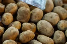 Ceny za ziemniaki 
