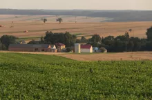 Sprzedaż działki siedliskowej: co powinien wiedzieć rolnik przed transakcją?