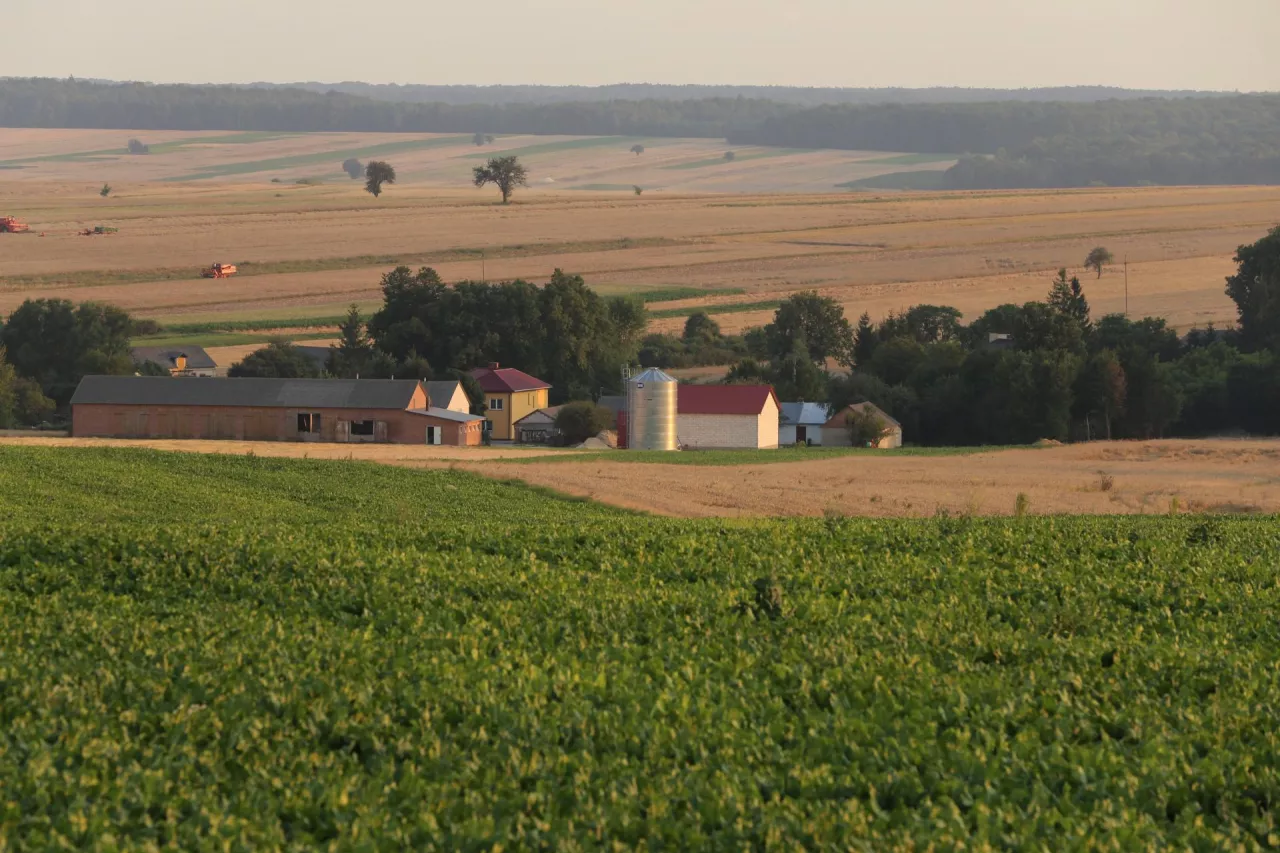 Sprzedaż działki siedliskowej: co powinien wiedzieć rolnik przed transakcją?