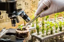 hodowla roślin, NGT