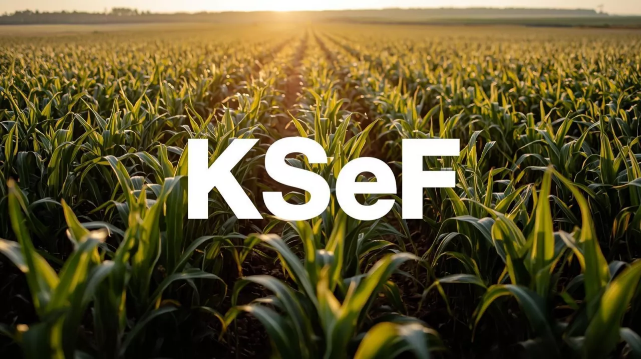 KSeF obowiązkowy od 2026 r. Co muszą wiedzieć rolnicy i agrobiznes?