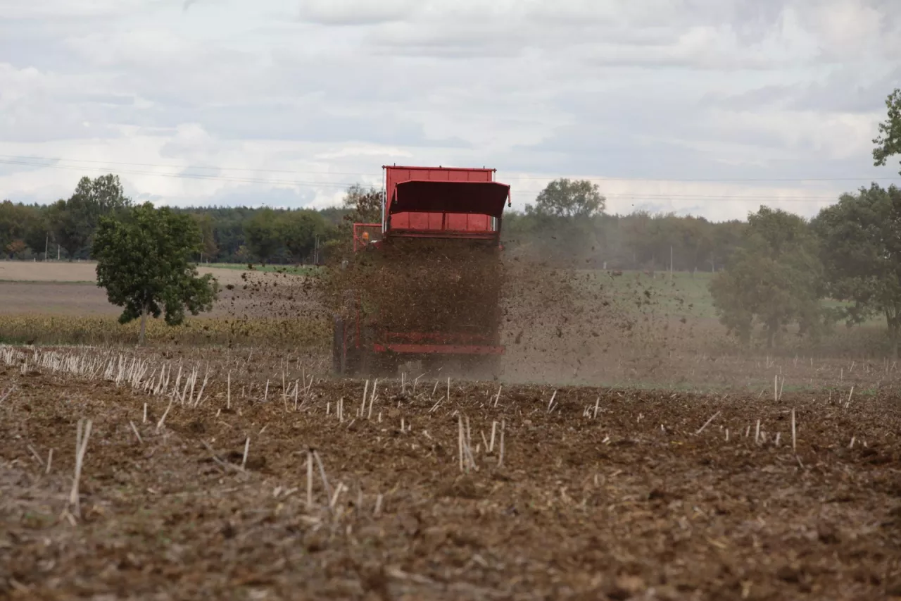 Obornik, nawożenie obornikiem, rozrzutnik obornika, obornik na jesień