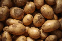 Towar sprzedany, a roszczenia po tygodniu – co może zrobić rolnik?