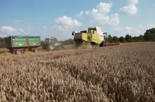 Pełnia żniw, wreszcie kosimy