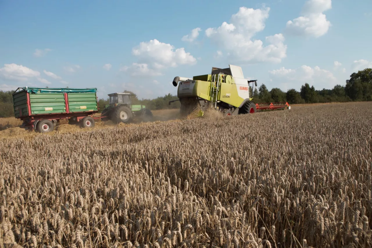 Pełnia żniw, wreszcie kosimy