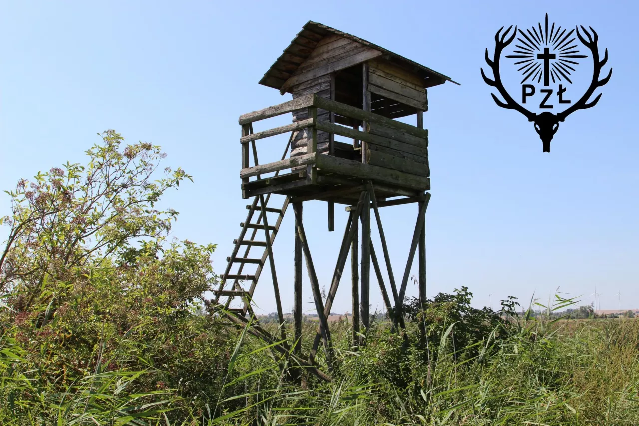 Szacuje, że w Polsce jest ok. 133 tys. myśliwych 