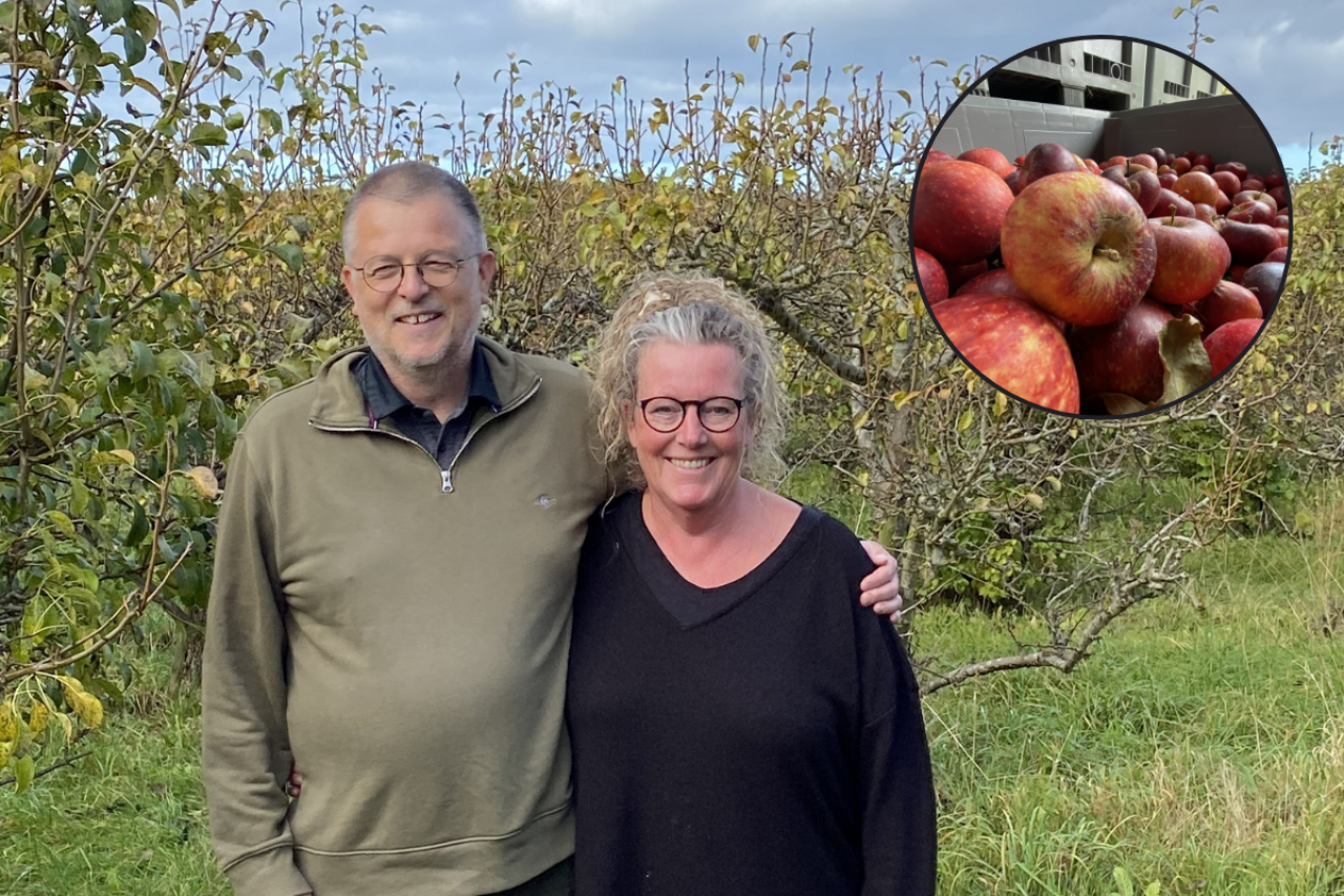 Duńscy sadownicy Mia i Steven Klarskov stoją na tle swojego sadu ekologicznego