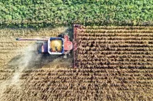 Rolnictwo, rolnictwo w Brazylii, Mercosur