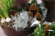 W tej prezentacji dominują elementy naturalne.