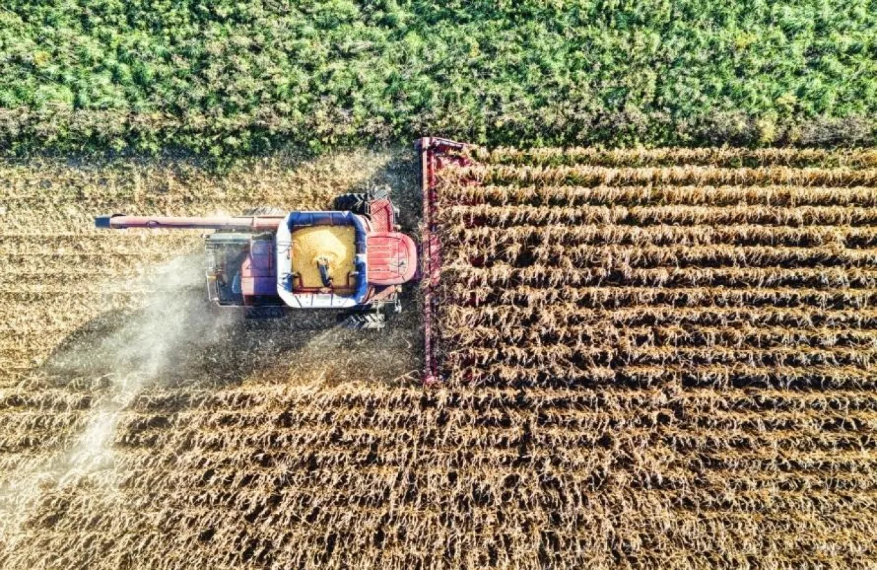 Rolnictwo, rolnictwo w Brazylii, Mercosur