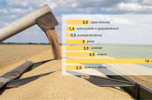 Rys. 1. Szacunkowy bilans pszenicy w Polsce na sezon 2025/26