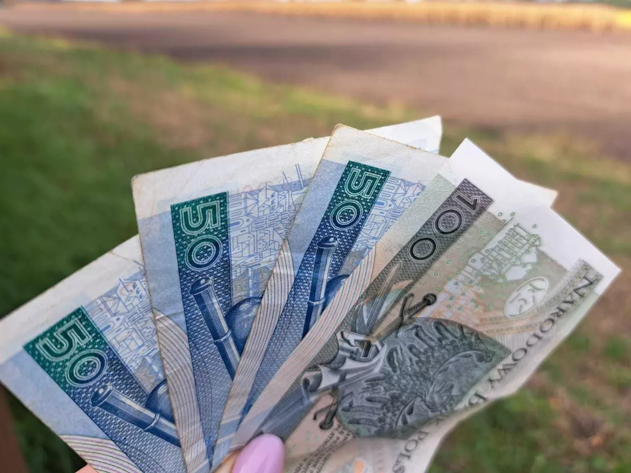 Nowe wsparcie dla rolników od 2026 roku. Jak otrzymać dopłatę?