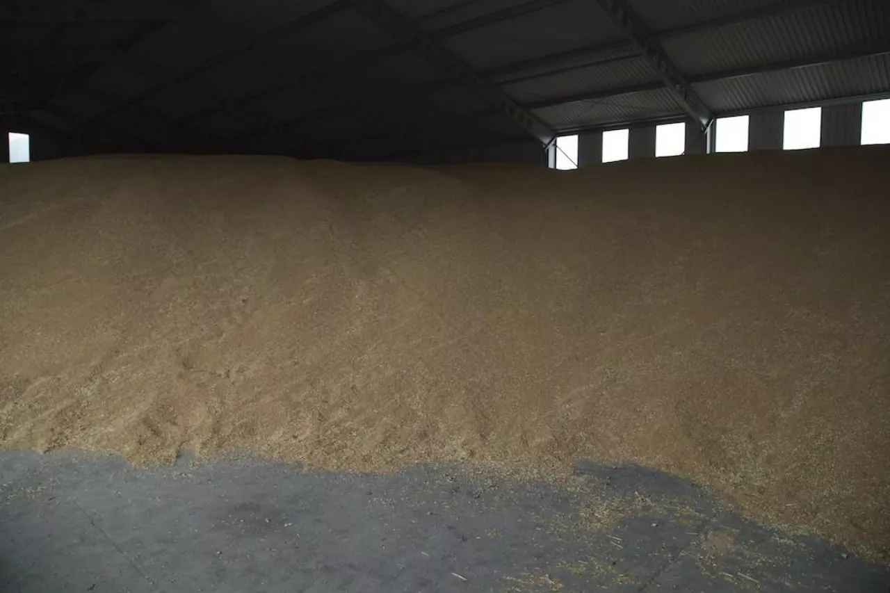 pryzma z wolna kończącego się zboża