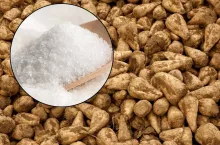 łyżka cukru białego z widocznymi w tle burakami cukrowymi