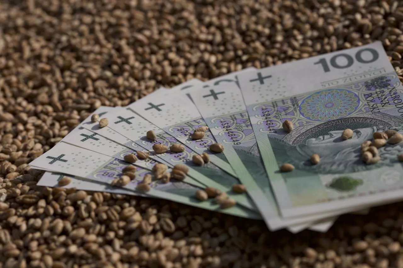 zboże, pieniądze, banknoty