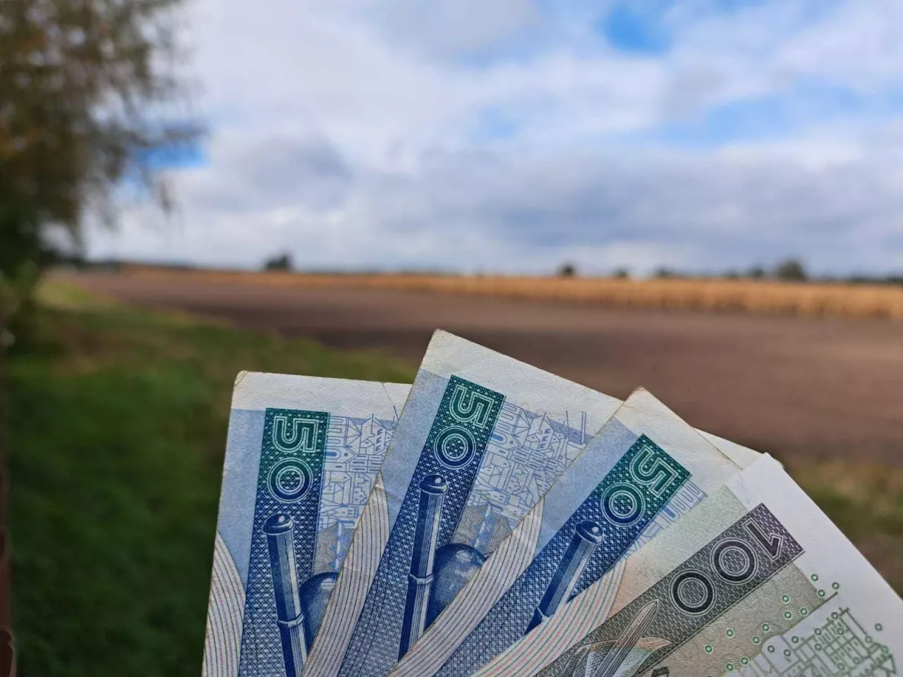 pieniądze, dopłaty, dopłaty dla rolników, WPR 2027