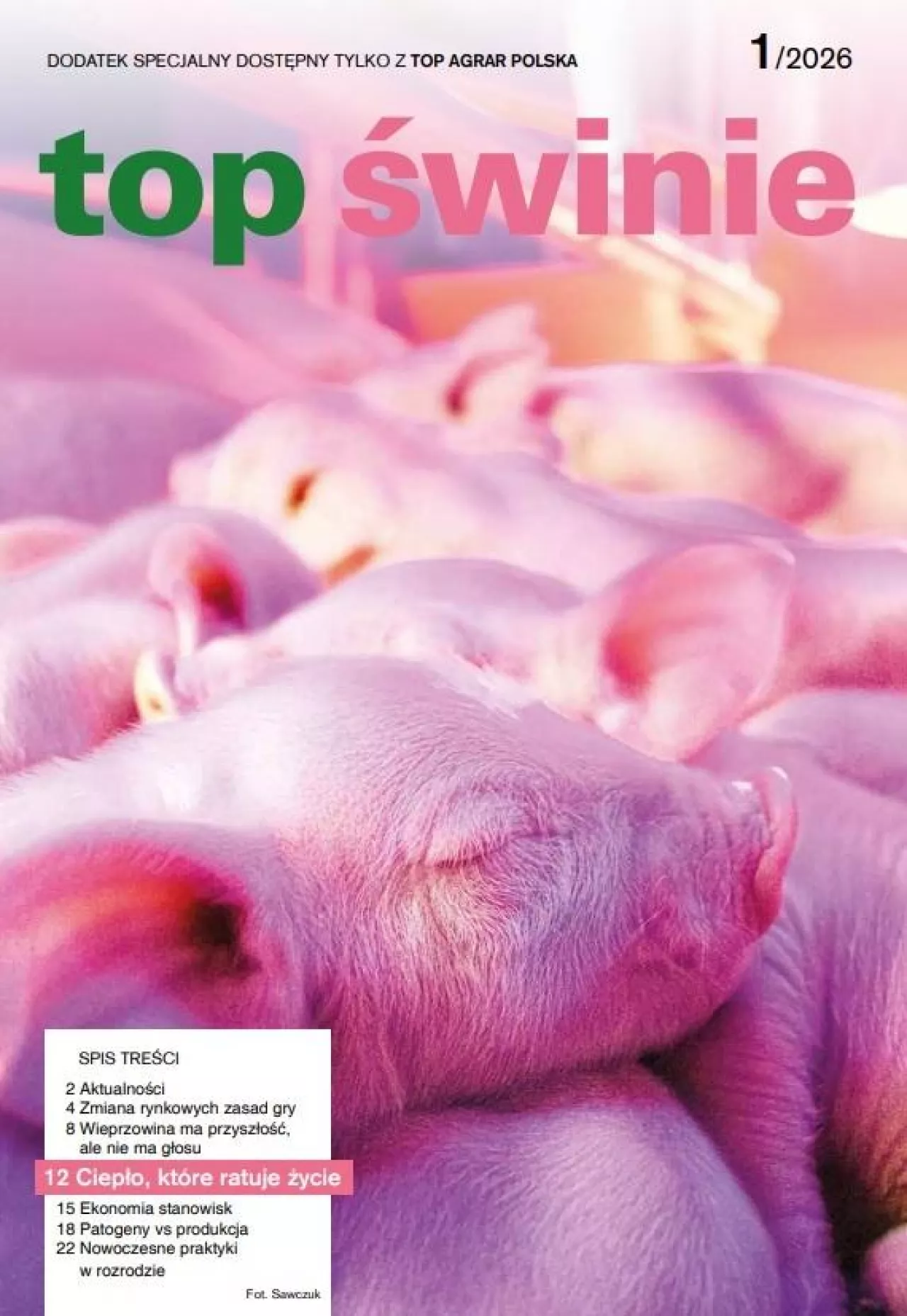 Okładka top świnie