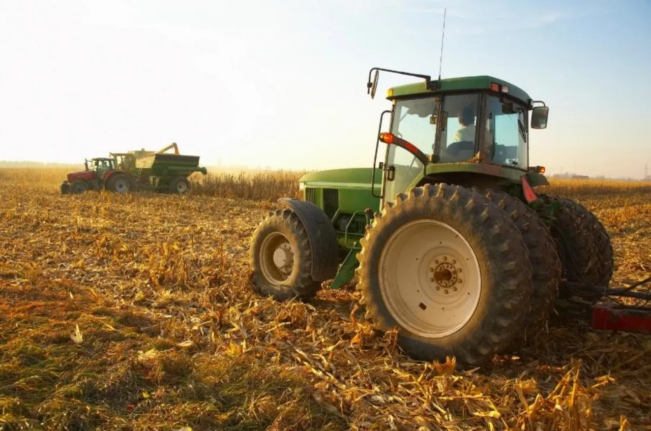 ciągnik, pole, żniwa 