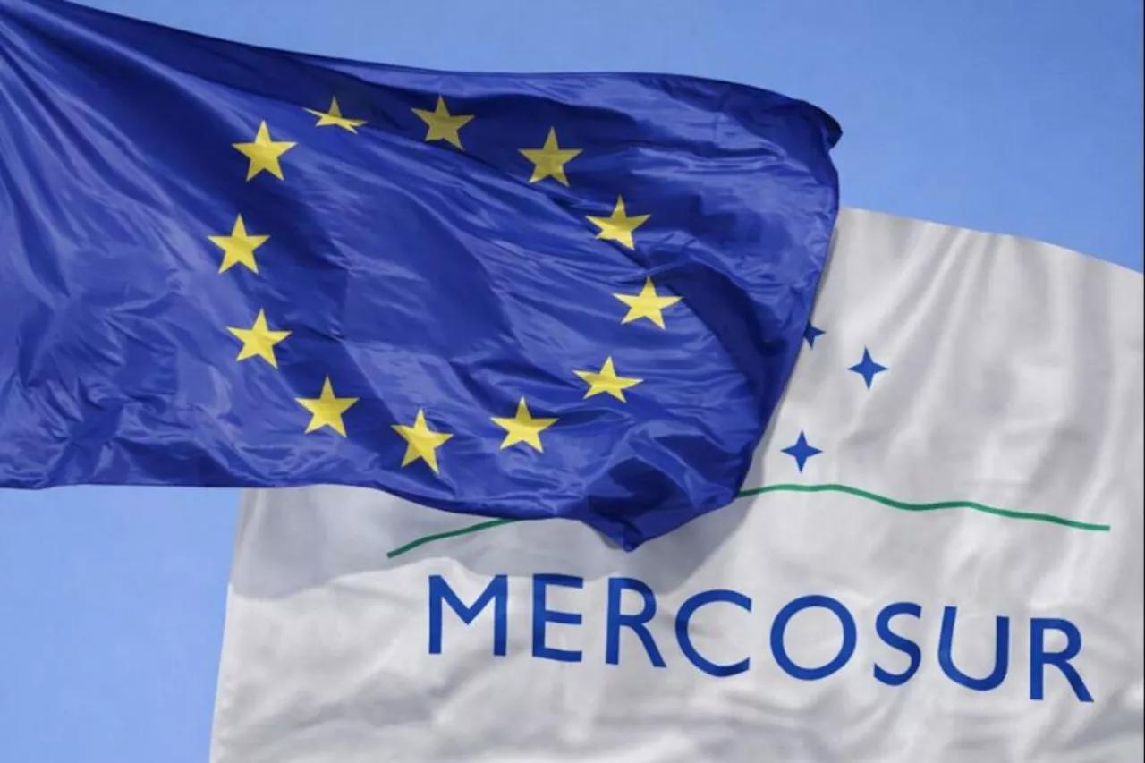 Flagi Unii Europejskiej i Mercosur.