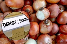 import cebuli do Polski 2025