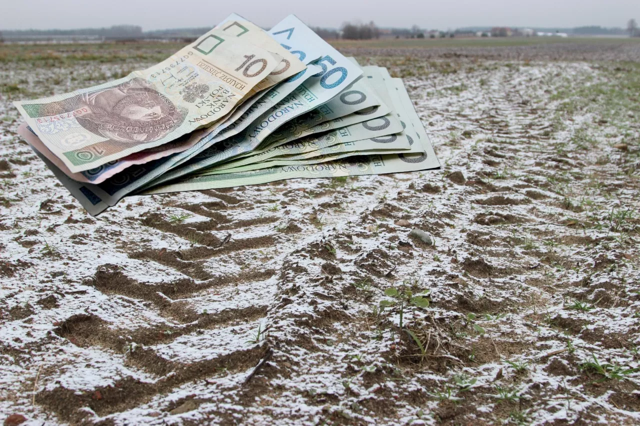 Ziemia rolna w Polsce przestała być tanim zasobem, a zaczęła być aktywem strategicznym