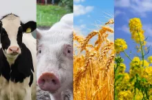 nowe sumy ubezpieczeń 2026