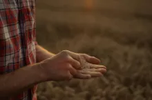 Dodatek do emerytur rolniczych jak u sołtysów?