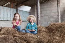 Alarm demograficzny na wsi. Dane KRUS pokazują, jak szybko ubywa dzieci