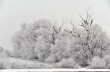 zima, prognoza pogody