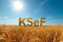 KSeF a gospodarstwo rolne. Kiedy faktury nie da się anulować?