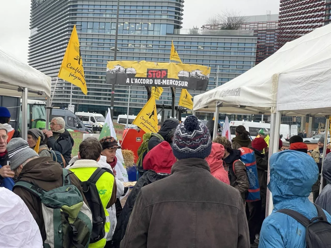 Rolnicy protestujący przed siedzibą Parlamentu Europejskiego w Strasburgu