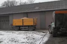 kukurydza czekająca na sprzedaż