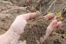Struktura gleby po deszczu, której nie można nic zarzucić