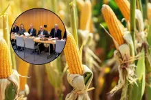 rośliny NGT debata PIORiN