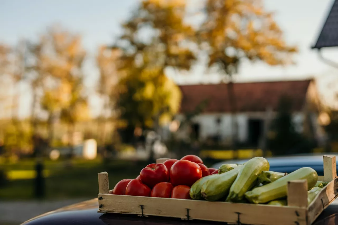 Krótkie łańcuchy dostaw: jak rolnik może dziś skutecznie dotrzeć do klienta?