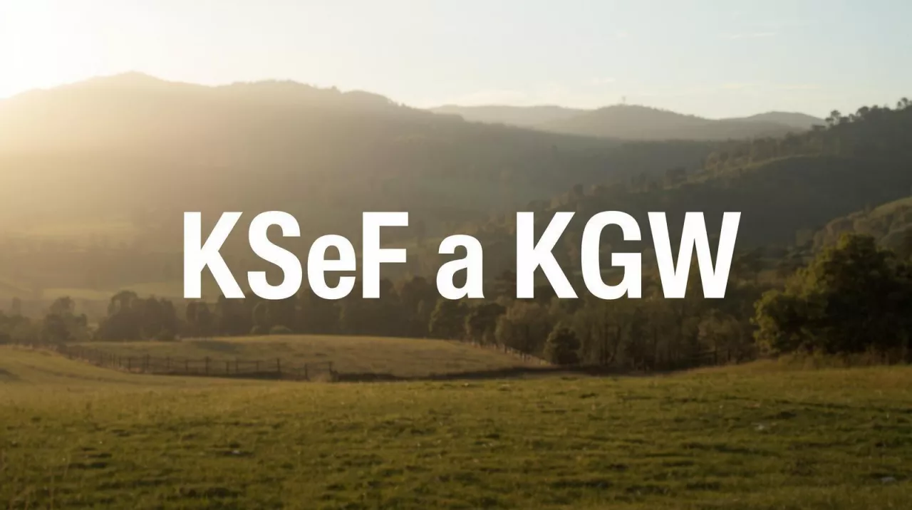 KGW a KSeF
