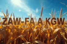 ZAW-FA – pierwszy krok do KSeF