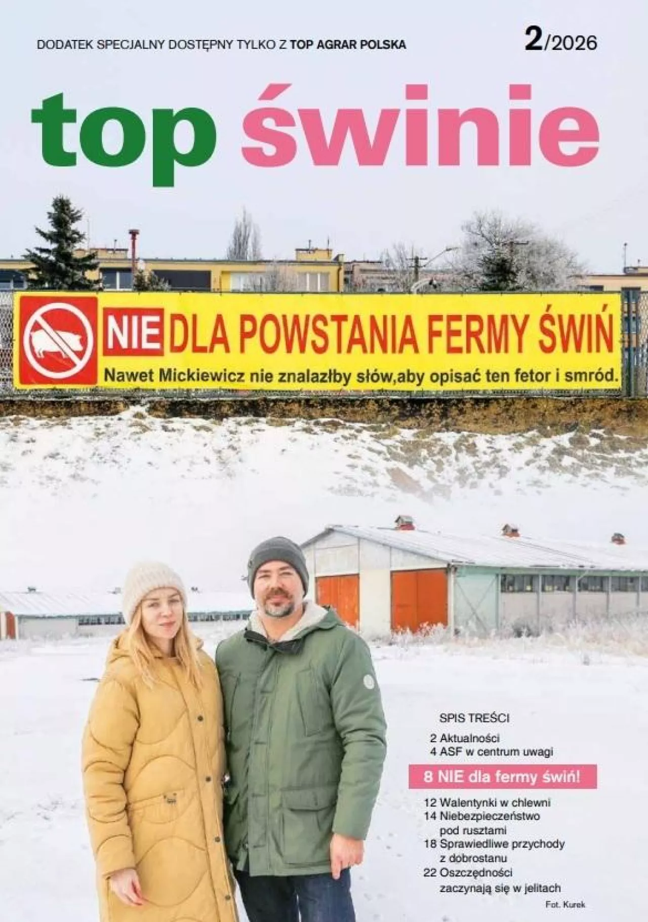 top świnie okładka